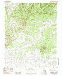 Huerfanito Peak New Mexico Historical topographic map, 1:24000 scale, 7.5 X 7.5 Minute, Year 1985