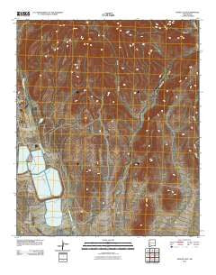 Hurley East New Mexico Historical topographic map, 1:24000 scale, 7.5 X 7.5 Minute, Year 2010