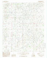 Illinois Camp New Mexico Historical topographic map, 1:24000 scale, 7.5 X 7.5 Minute, Year 1985