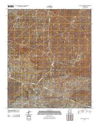 Illinois Camp NE New Mexico Historical topographic map, 1:24000 scale, 7.5 X 7.5 Minute, Year 2010