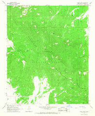 Indian Mesa New Mexico Historical topographic map, 1:24000 scale, 7.5 X 7.5 Minute, Year 1964