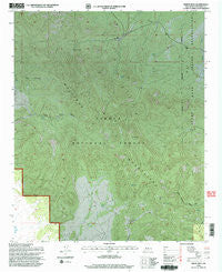Indian Mesa New Mexico Historical topographic map, 1:24000 scale, 7.5 X 7.5 Minute, Year 1995