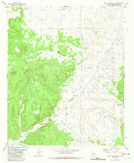 Indian Peaks East New Mexico Historical topographic map, 1:24000 scale, 7.5 X 7.5 Minute, Year 1981