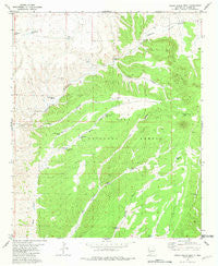Indian Peaks West New Mexico Historical topographic map, 1:24000 scale, 7.5 X 7.5 Minute, Year 1981