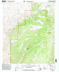 Indian Peaks West New Mexico Historical topographic map, 1:24000 scale, 7.5 X 7.5 Minute, Year 1999