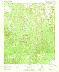 Indian Spring Canyon New Mexico Historical topographic map, 1:24000 scale, 7.5 X 7.5 Minute, Year 1964