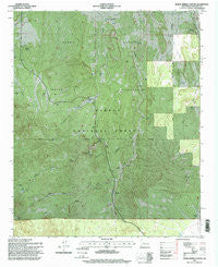 Indian Spring Canyon New Mexico Historical topographic map, 1:24000 scale, 7.5 X 7.5 Minute, Year 1995