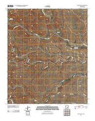 Indian Bluff New Mexico Historical topographic map, 1:24000 scale, 7.5 X 7.5 Minute, Year 2010