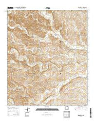 Indian Bluff New Mexico Historical topographic map, 1:24000 scale, 7.5 X 7.5 Minute, Year 2013