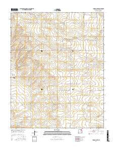 Ingram Lake New Mexico Current topographic map, 1:24000 scale, 7.5 X 7.5 Minute, Year 2017