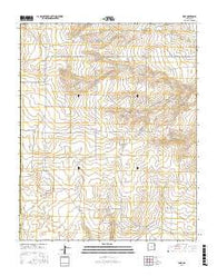 Ione New Mexico Current topographic map, 1:24000 scale, 7.5 X 7.5 Minute, Year 2017