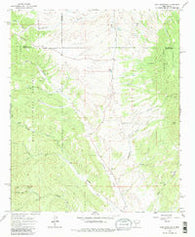 Iron Mountain New Mexico Historical topographic map, 1:24000 scale, 7.5 X 7.5 Minute, Year 1965