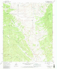 Iron Mountain New Mexico Historical topographic map, 1:24000 scale, 7.5 X 7.5 Minute, Year 1965