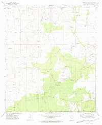 Javelina Basin New Mexico Historical topographic map, 1:24000 scale, 7.5 X 7.5 Minute, Year 1973