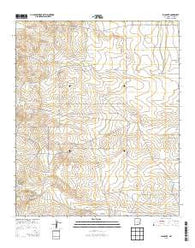 Juan Lake New Mexico Historical topographic map, 1:24000 scale, 7.5 X 7.5 Minute, Year 2013