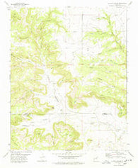 La Cinta Canyon New Mexico Historical topographic map, 1:24000 scale, 7.5 X 7.5 Minute, Year 1978