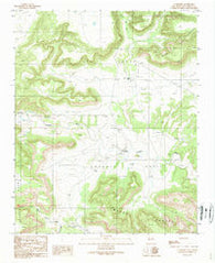 La Liendre New Mexico Historical topographic map, 1:24000 scale, 7.5 X 7.5 Minute, Year 1989
