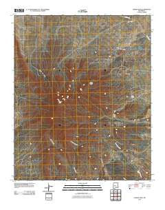 Ladron Peak New Mexico Historical topographic map, 1:24000 scale, 7.5 X 7.5 Minute, Year 2010