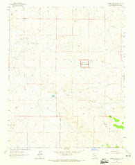Laguna Castillo New Mexico Historical topographic map, 1:24000 scale, 7.5 X 7.5 Minute, Year 1963