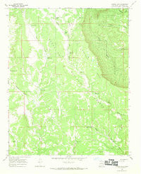 Laguna Ortiz New Mexico Historical topographic map, 1:24000 scale, 7.5 X 7.5 Minute, Year 1966