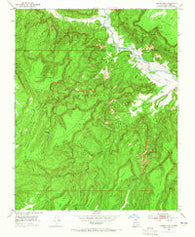 Laguna Peak New Mexico Historical topographic map, 1:24000 scale, 7.5 X 7.5 Minute, Year 1953