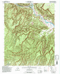 Laguna Peak New Mexico Historical topographic map, 1:24000 scale, 7.5 X 7.5 Minute, Year 1995
