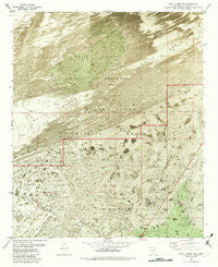 Lake Lucero NE New Mexico Historical topographic map, 1:24000 scale, 7.5 X 7.5 Minute, Year 1982