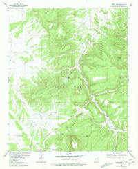 Largo Mesa New Mexico Historical topographic map, 1:24000 scale, 7.5 X 7.5 Minute, Year 1981