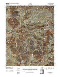 Las Nutrias New Mexico Historical topographic map, 1:24000 scale, 7.5 X 7.5 Minute, Year 2010