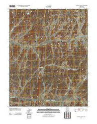 Leavry Canyon New Mexico Historical topographic map, 1:24000 scale, 7.5 X 7.5 Minute, Year 2010