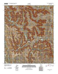 Lewis Canyon New Mexico Historical topographic map, 1:24000 scale, 7.5 X 7.5 Minute, Year 2010
