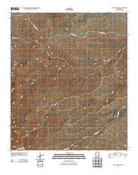 Lewis Peak NE New Mexico Historical topographic map, 1:24000 scale, 7.5 X 7.5 Minute, Year 2010