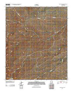 Lewis Peak NE New Mexico Historical topographic map, 1:24000 scale, 7.5 X 7.5 Minute, Year 2010