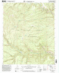 Lilley Mountain New Mexico Historical topographic map, 1:24000 scale, 7.5 X 7.5 Minute, Year 1999