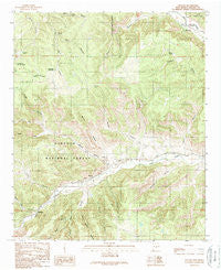 Lincoln New Mexico Historical topographic map, 1:24000 scale, 7.5 X 7.5 Minute, Year 1989