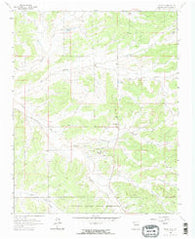 Lindrith New Mexico Historical topographic map, 1:24000 scale, 7.5 X 7.5 Minute, Year 1963