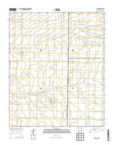 Lingo New Mexico Historical topographic map, 1:24000 scale, 7.5 X 7.5 Minute, Year 2013