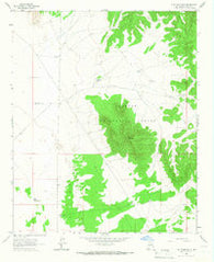 Lion Mountain New Mexico Historical topographic map, 1:24000 scale, 7.5 X 7.5 Minute, Year 1965