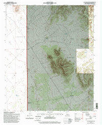 Lion Mountain New Mexico Historical topographic map, 1:24000 scale, 7.5 X 7.5 Minute, Year 1995