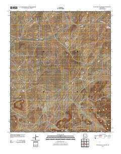 Little Black Peak NE New Mexico Historical topographic map, 1:24000 scale, 7.5 X 7.5 Minute, Year 2010