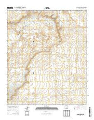 Livingston Ridge New Mexico Historical topographic map, 1:24000 scale, 7.5 X 7.5 Minute, Year 2013