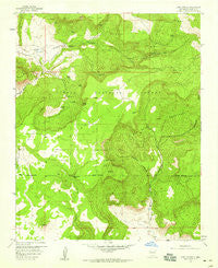 Lobo Springs New Mexico Historical topographic map, 1:24000 scale, 7.5 X 7.5 Minute, Year 1957