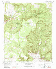 Lobo Springs New Mexico Historical topographic map, 1:24000 scale, 7.5 X 7.5 Minute, Year 1957