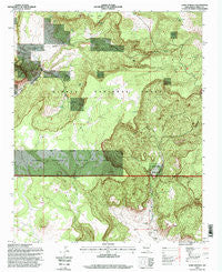 Lobo Springs New Mexico Historical topographic map, 1:24000 scale, 7.5 X 7.5 Minute, Year 1995
