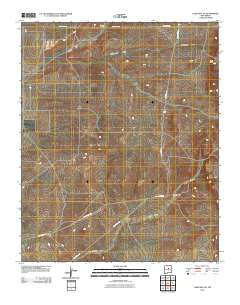 Lobo Hill NE New Mexico Historical topographic map, 1:24000 scale, 7.5 X 7.5 Minute, Year 2010