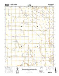 Lobo Hill SW New Mexico Current topographic map, 1:24000 scale, 7.5 X 7.5 Minute, Year 2017