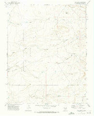 Loco Arroyo New Mexico Historical topographic map, 1:24000 scale, 7.5 X 7.5 Minute, Year 1971