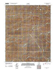 Loco Arroyo New Mexico Historical topographic map, 1:24000 scale, 7.5 X 7.5 Minute, Year 2010