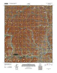 Loco Canyon New Mexico Historical topographic map, 1:24000 scale, 7.5 X 7.5 Minute, Year 2010