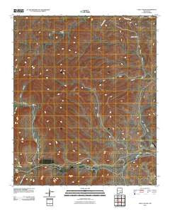Loco Canyon New Mexico Historical topographic map, 1:24000 scale, 7.5 X 7.5 Minute, Year 2010